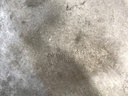 STARK-954654-6