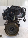 MTD-533036-1