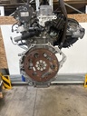 MTD-534113-3