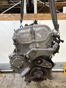 MTD-534402-2