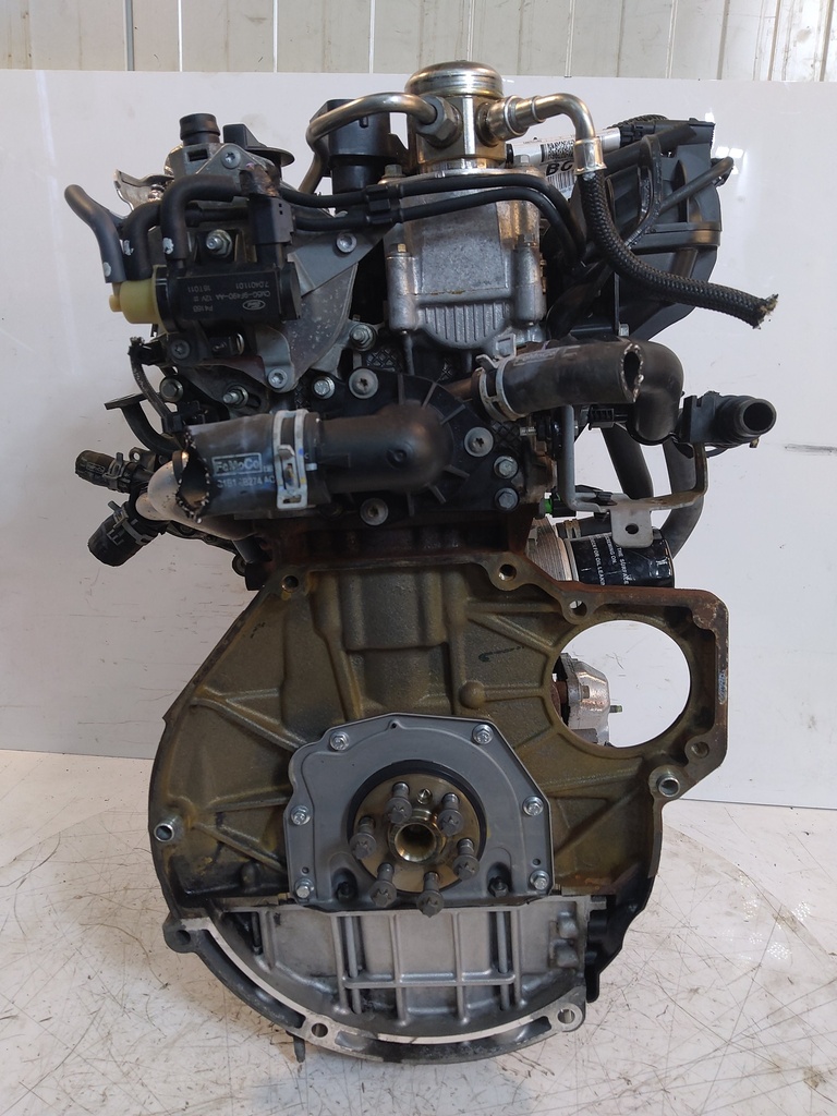 MTD-533249-1