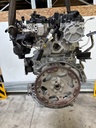 MTD-534370-1