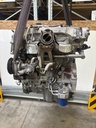 MTD-534372-3
