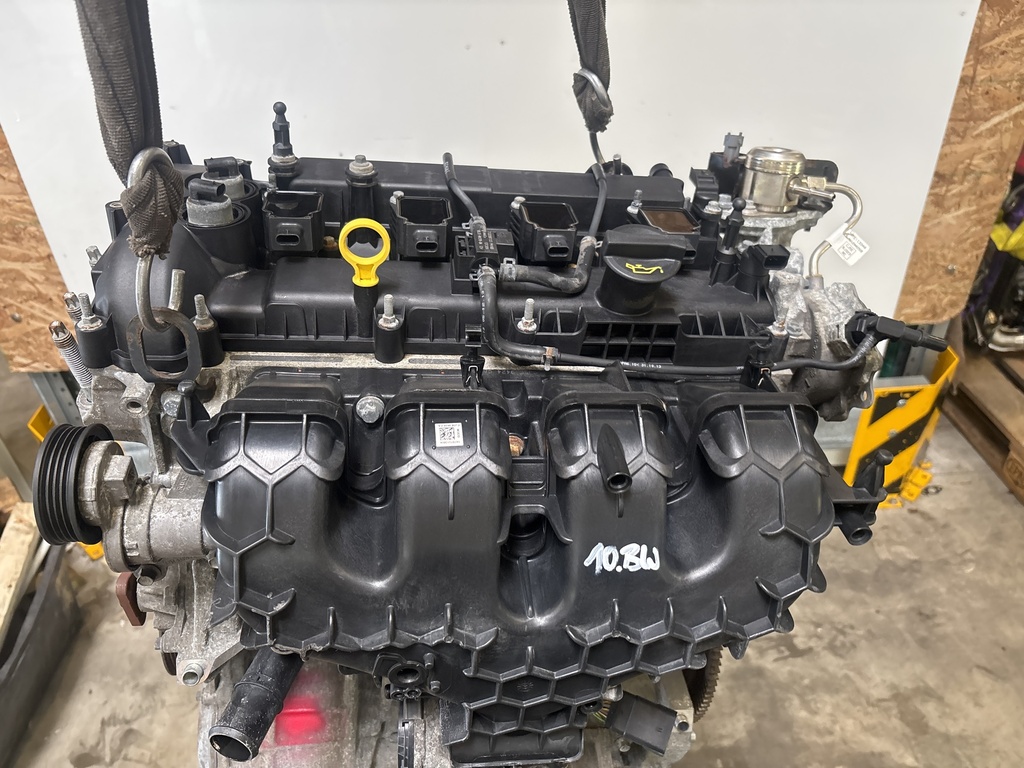 MTD-534467-1