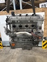 MTD-534604-2