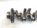 MTD-534563-5