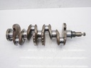 MTD-428144-1