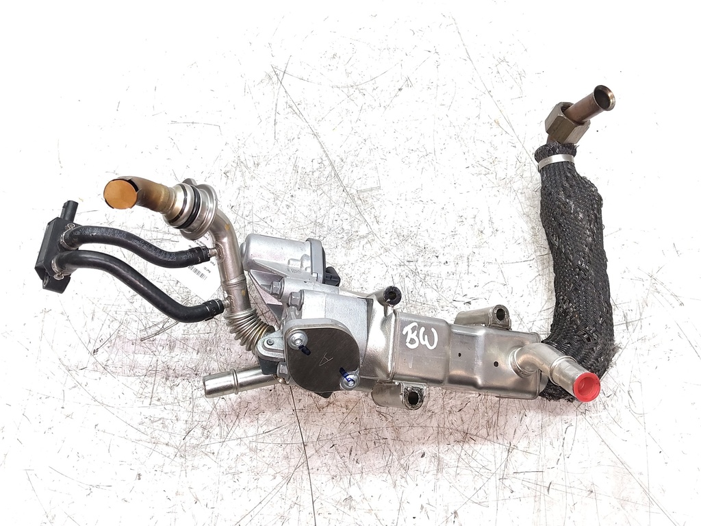 MTD-534521-1