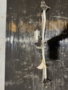 EPE-100266-1
