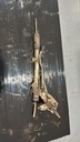 EPE-100227-1
