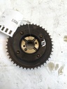 MTD-534009-1