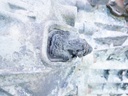MTD-417226-1