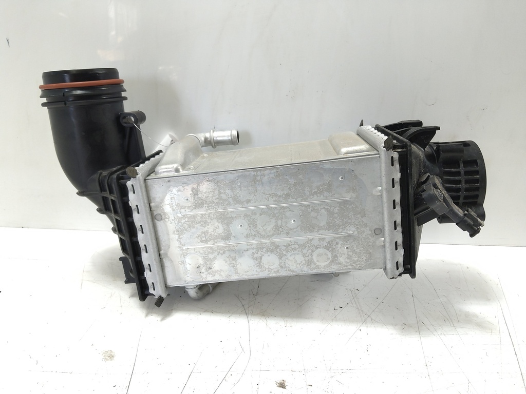 MTD-534504-2