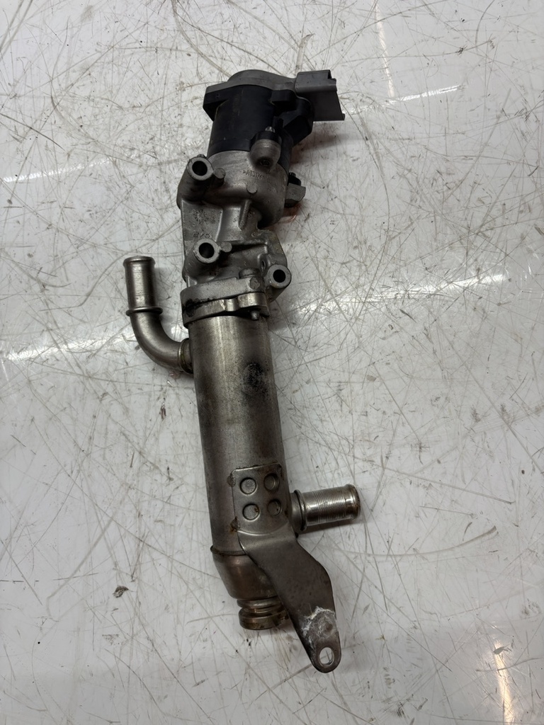 MTD-491630-1