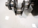 MTD-445163-2