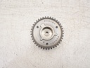 MTD-447019-1