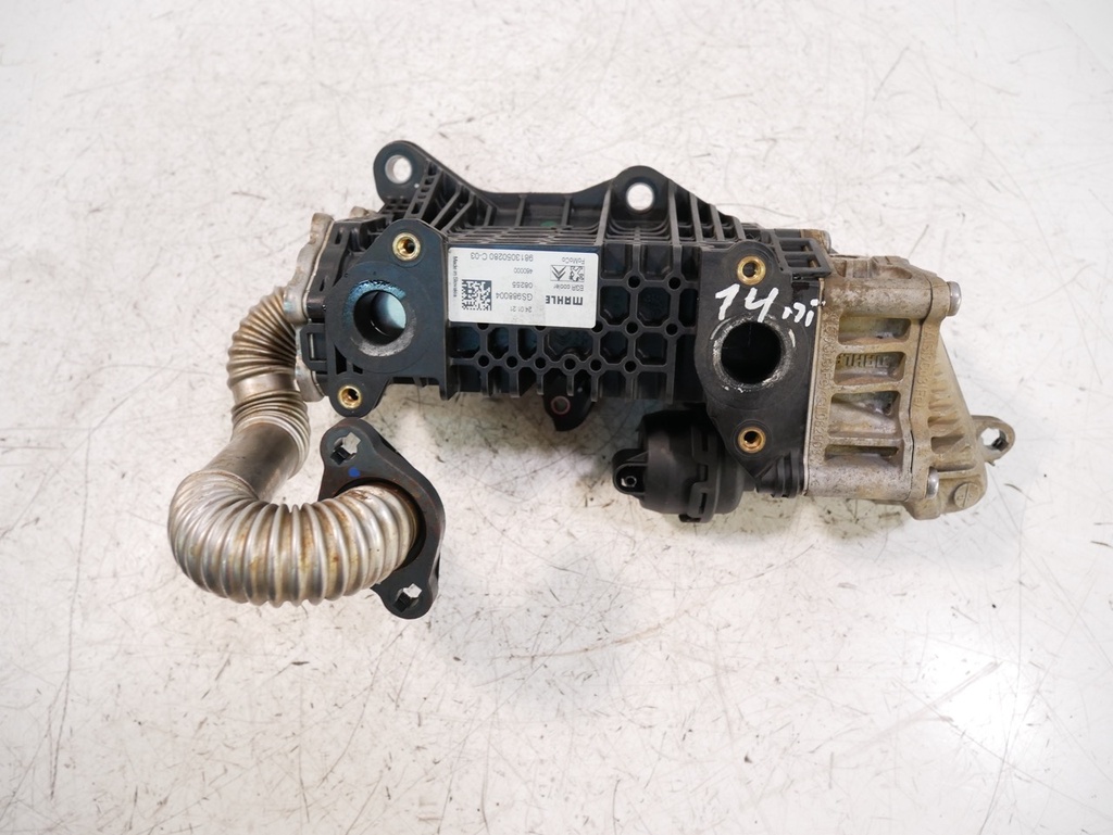 MTD-442262-1
