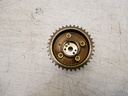 MTD-453569-1