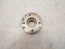 MTD-482517-1