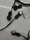 MTD-503666-2