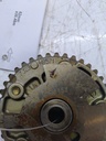 MTD-516662-1
