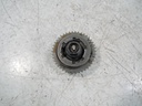 MTD-495619-1