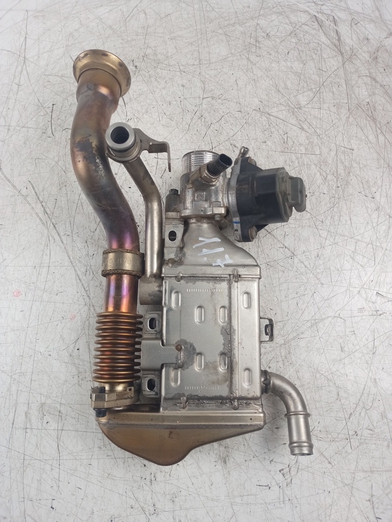 MTD-437436-1