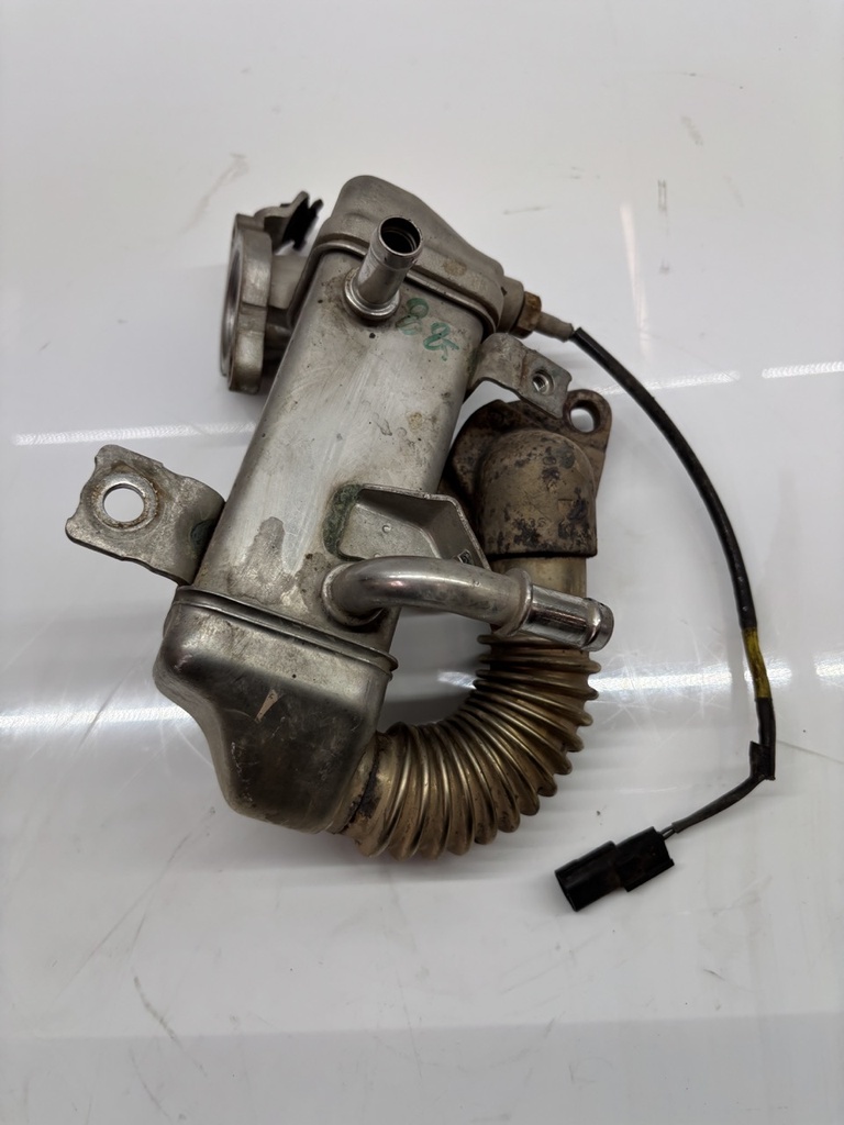 MTD-448556-1