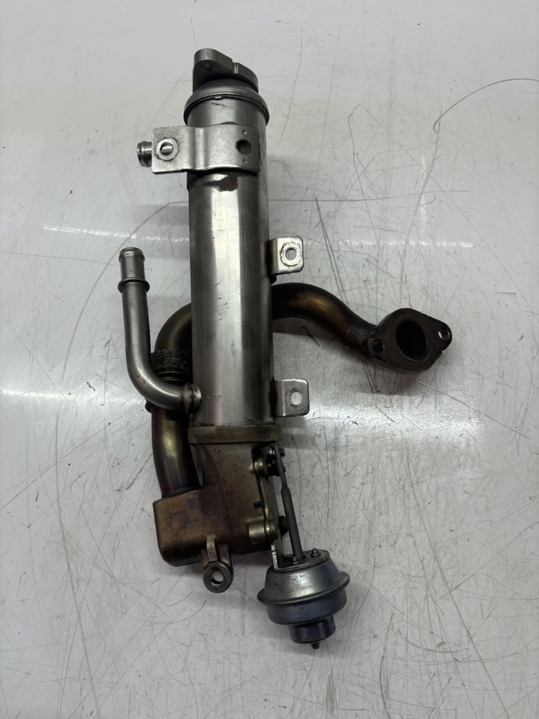 MTD-450446-1