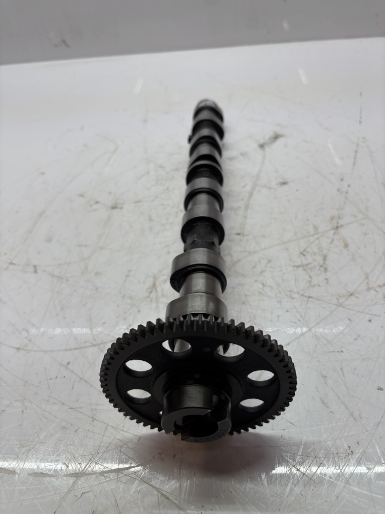 MTD-502404-1