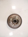 MTD-445904-1