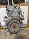 MTD-535142-1