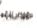 MTD-534871-4