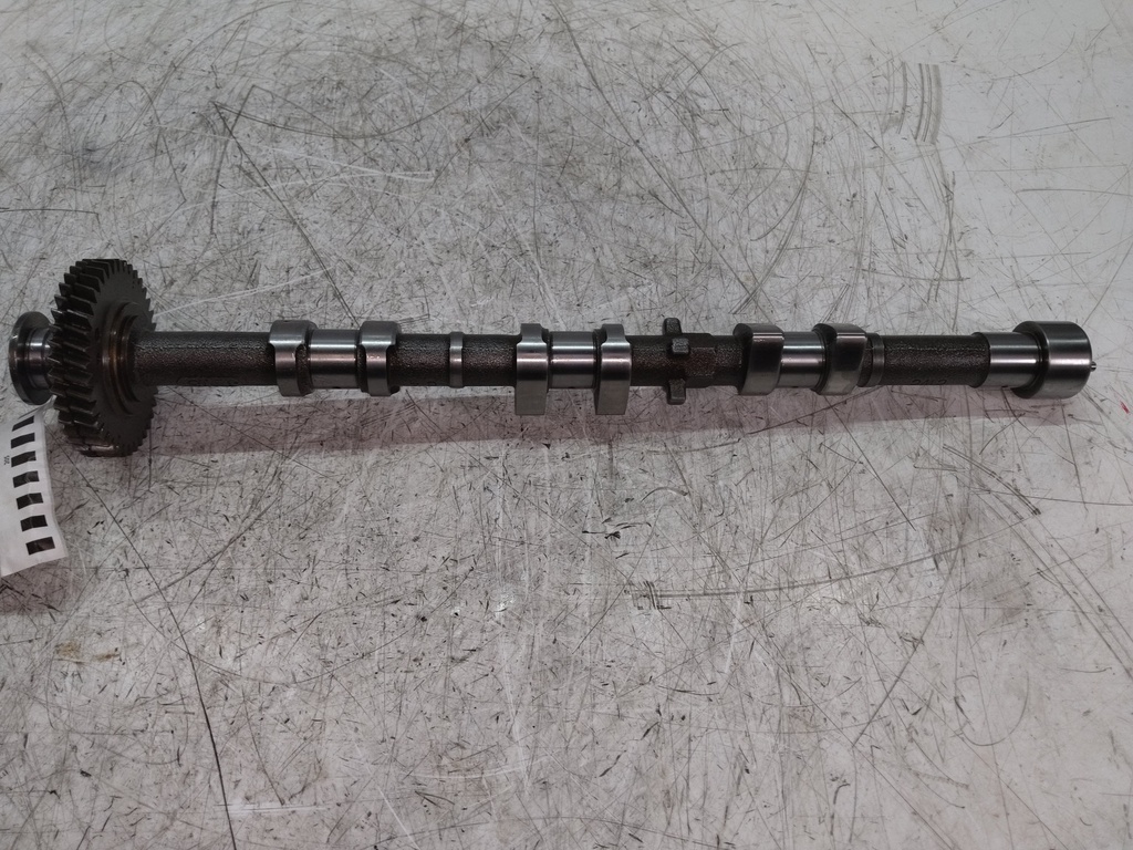 MTD-534921-1