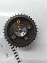 MTD-534737-1