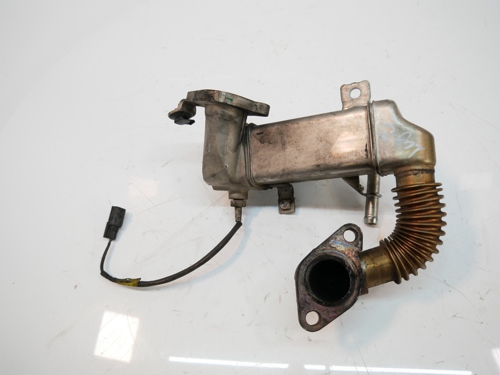 MTD-462513-1