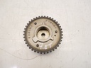 MTD-477403-1