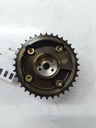 MTD-534908-2