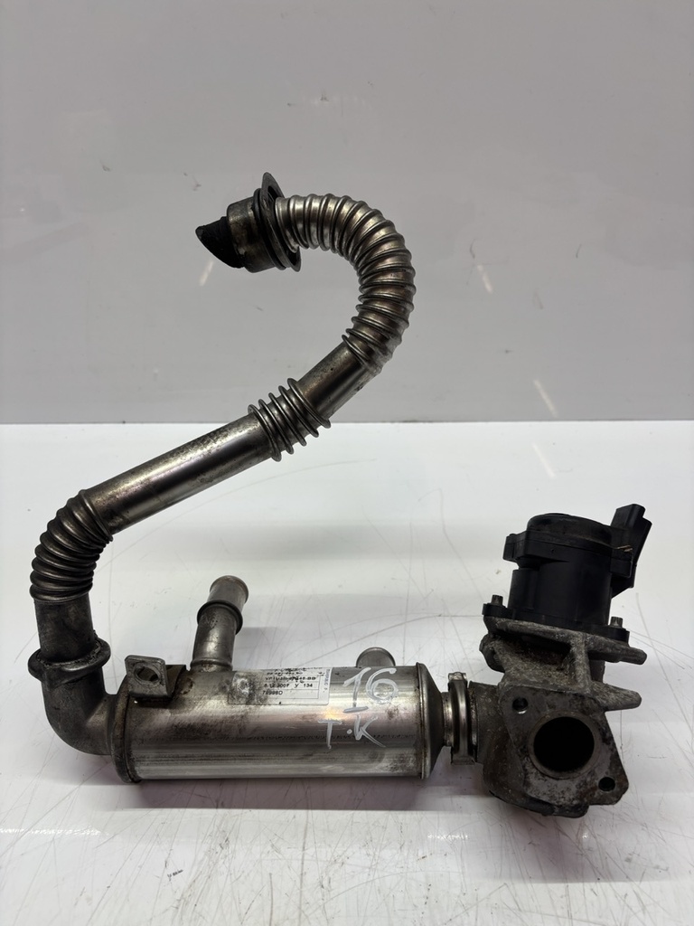 MTD-486776-1