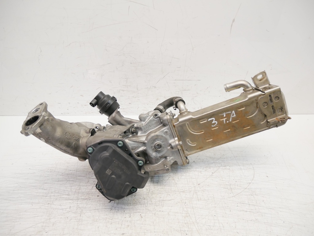 MTD-436219-1