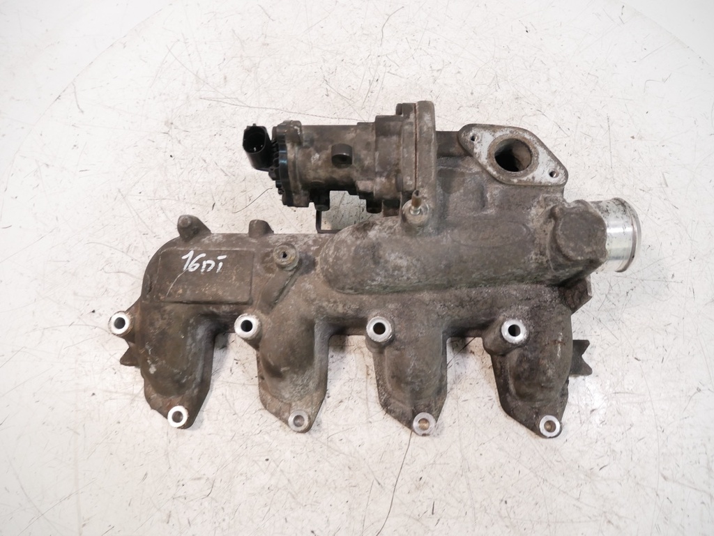 MTD-442025-1