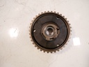 MTD-446397-1
