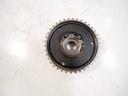 MTD-446409-1