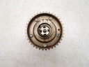 MTD-491137-1