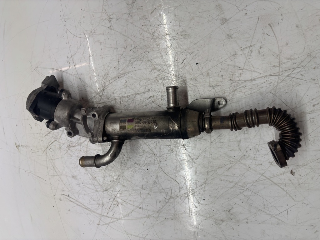 MTD-491557-1