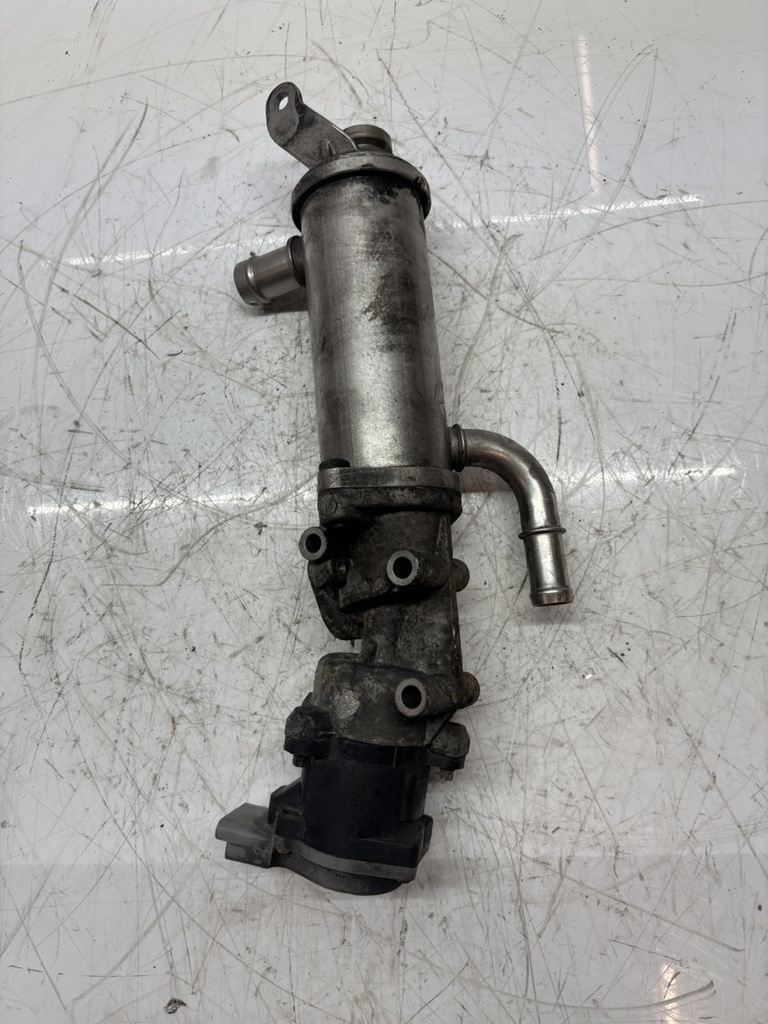 MTD-491784-1