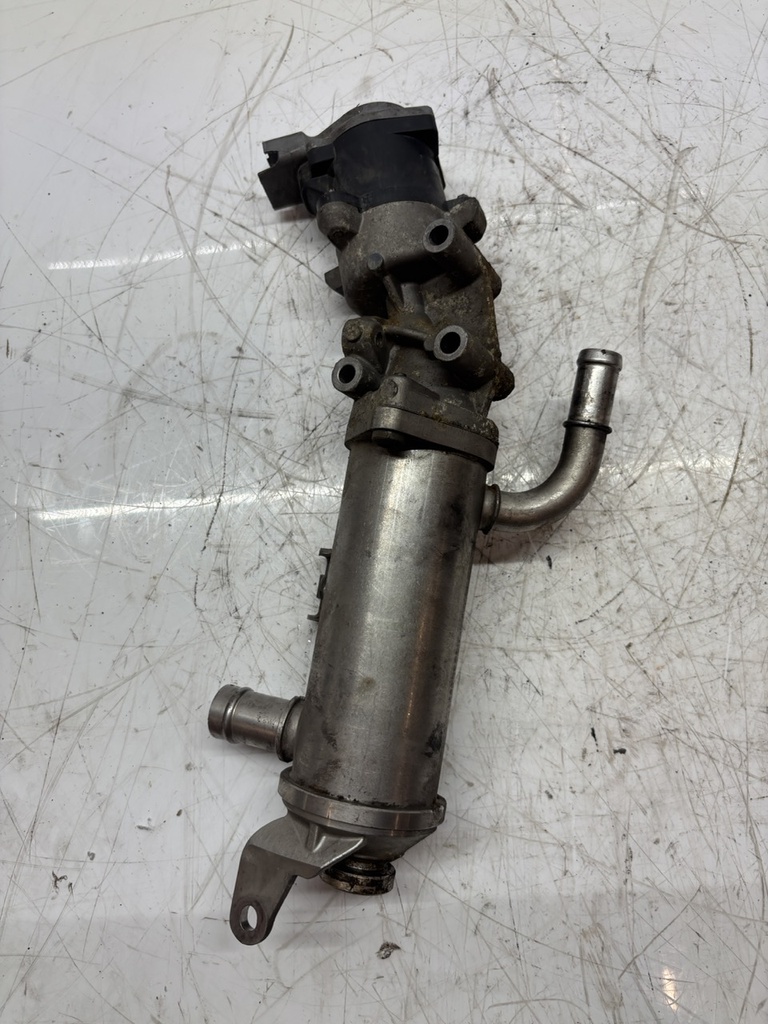 MTD-491785-1
