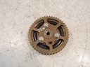 MTD-503903-1