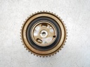 MTD-504653-1