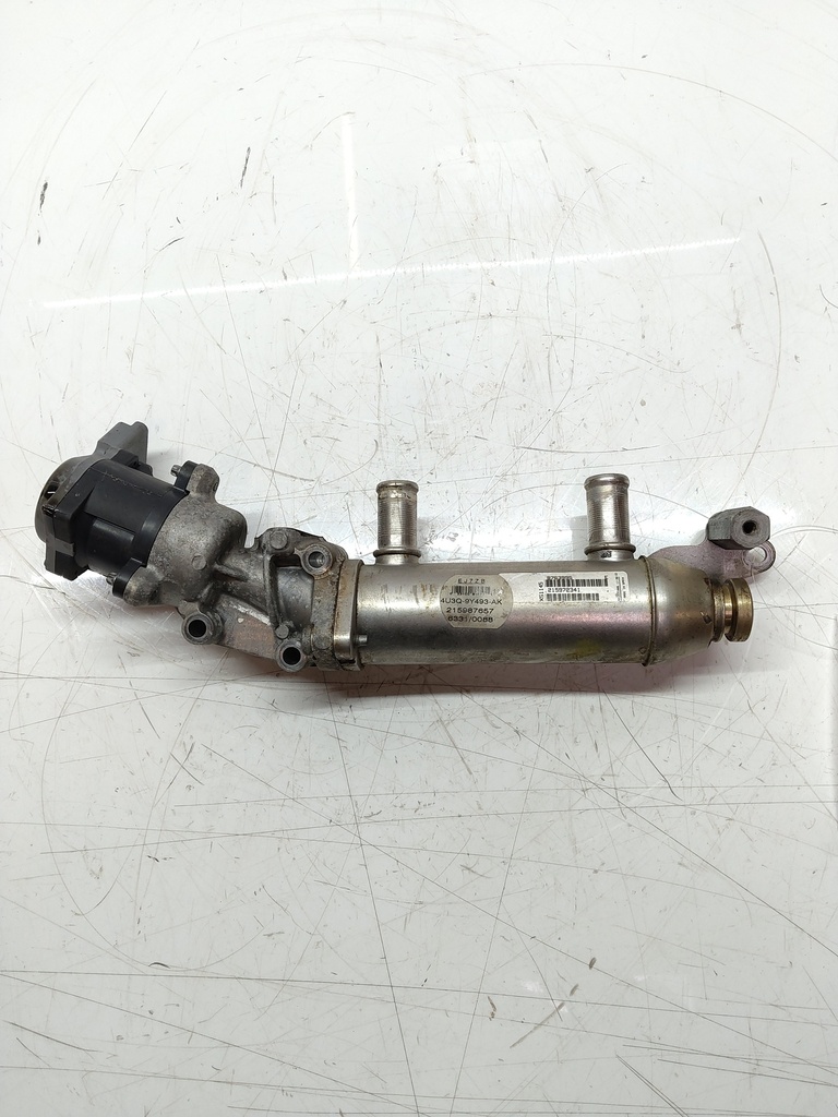 MTD-508203-1